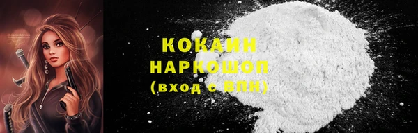 шишки Дмитров