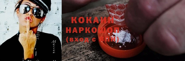 шишки Дмитров