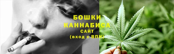 шишки Дмитров