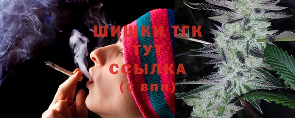 шишки Дмитров