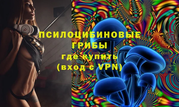 кокаин перу Дмитриев