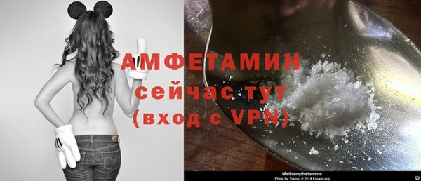 шишки Дмитров