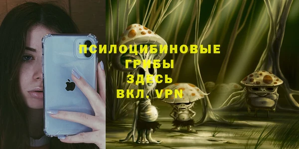 а пвп мука Дмитровск