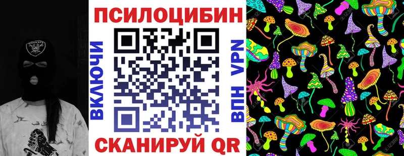 Галлюциногенные грибы Psilocybe  Купить где  Кораблино 
